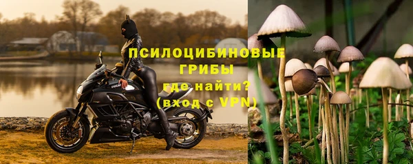 Альфа ПВП Абаза
